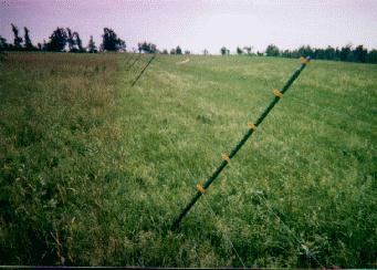 DEER EXCLUSION FENCING EXPERIMENT - CACAPON INSTITUTE