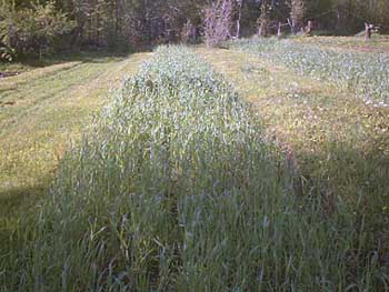 PDC_0003.jpg