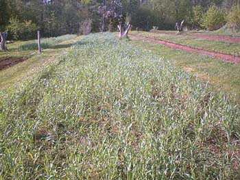 PDC_0004.jpg