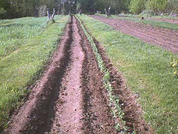 PDC_0005.jpg