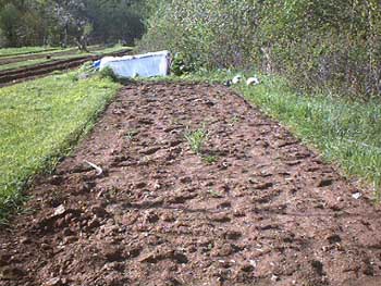 PDC_0008.jpg