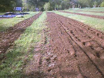 PDC_0009.jpg