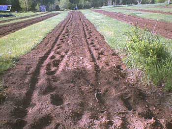 PDC_0010.jpg