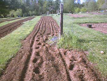 PDC_0013.jpg