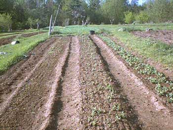 PDC_0014.jpg