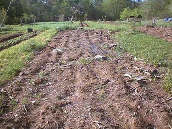 PDC_0015.jpg