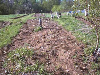 PDC_0016.jpg