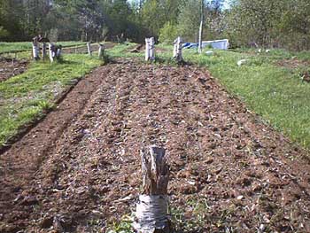 PDC_0017.jpg