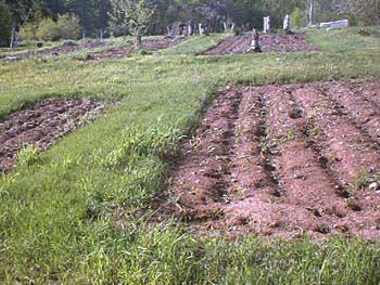 PDC_0023.jpg